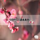 덕향만리