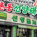 선양돼지 이미지
