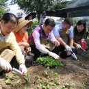 중랑천 제2체육공원 이미지