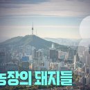 고성국TV﻿﻿-[2024년 7월 27일 토요일 오전 8시 생방송] 동물농장의 돼지들 이미지