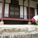 느티나무 일원 이미지