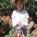 수아네 농장 이미지