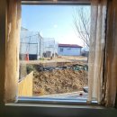 달콤 바삭 전통간식 오란다 만들기 이미지