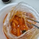 숑가 이미지