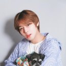 사진찍는날 네이버블로그