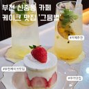 카페별 | [부천] 디저트가 맛있는 신중동 케이크 맛집 그믐별 카페 추천 후기 (+애견동반 카페)
