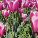 안채한정식 이미지