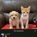 글로우잇 | 333 (+더글로우2026 후기)