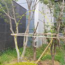 세이브트리엑스퍼트 이미지