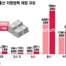 저출산 | 1명도 안 낳는데 다자녀 예산만 &#39;펑펑&#39;…헛돈 쓰는 출산정책 | 머니투데이 이미지