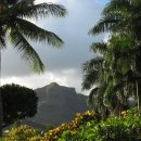 하와이 골프스튜디오 이미지