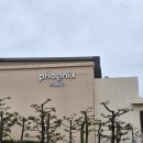 로얄이불 | 제주 휘닉스아일랜드 A동 로얄 더블온돌 솔직후기