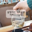 지유명차 이미지