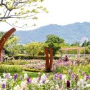 순천만국가정원 이미지