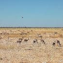 지토농장 이미지