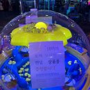 별별인형뽑기 이미지