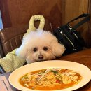 신일빌딩 앞 인도 | 인계동 화덕피자, 파스타 수원시청역맛집 &#39;PPK키친 수원본점&#39;