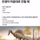 데굴데굴 이미지