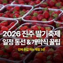 진서중학교 | 2026 진주 딸기축제 일정 기본정보, 주말 헛걸음 막는 수곡면 동선