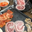 기수백서 이미지