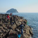 문섬·범섬천연보호구역 이미지