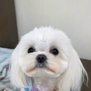 늘봄아로마테라피 이미지