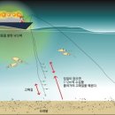 ▣ 한치 배낚시 ▣ 이미지