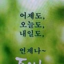 칭구야 - 제주시 | 칭구야