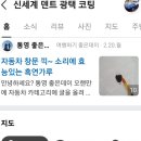 신세계덴트광택코팅