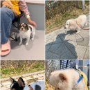 옐레드 하남미사점 이미지