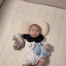 S.K시트 | 베디스 매트리스 커버 일체형 패드 침대시트 아기침대추천