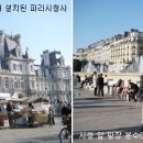파리사 이미지