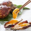 멍게 티스토리