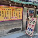 양지수선 이미지