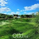 자연환경 이미지