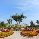 시민공원 남문 인근-1 이미지