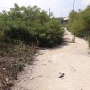 은평-043 이미지