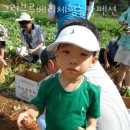 방포초등학교 | 태안가볼만한곳 그린블루베리체험농장펜션 서해안가볼만한곳 태안여행 안면도맛집부터 태안볼거리