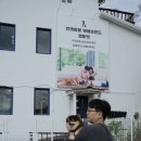 김제강아지 이미지