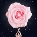 로이드 - 북구 동천로 136 | 로이드