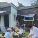 반디불이 이미지