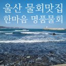 울산횟집 | 울산 물회 맛집 한마음 횟집 후기 | 참가자미회 추천