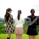 그린광택사 이미지