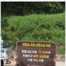 간판제작소 이미지
