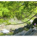 계곡이 있는 풍경 이미지