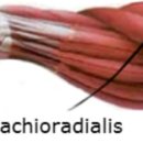 바디앤마인드 피트니스 이미지