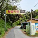 황금가든 | 봉선동 가족모임 장소로 강추! 황금가든에서 든든한 촌닭 코스요리 먹고 온 후기 (feat. 싱싱한 닭육회)