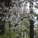 제주의사계 이미지