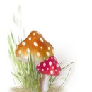 방주물산 이미지