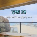 카페달홀